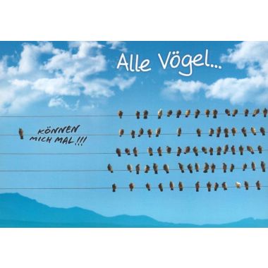Postkarte witzig Spruch Alle Vögel?