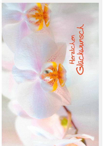 Glückwunschkarte Blume weiß orange Spruch Herzlichen Glückwunsch
