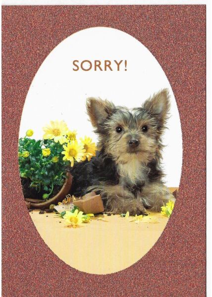 Entschuldigungskarte Hund Sorry