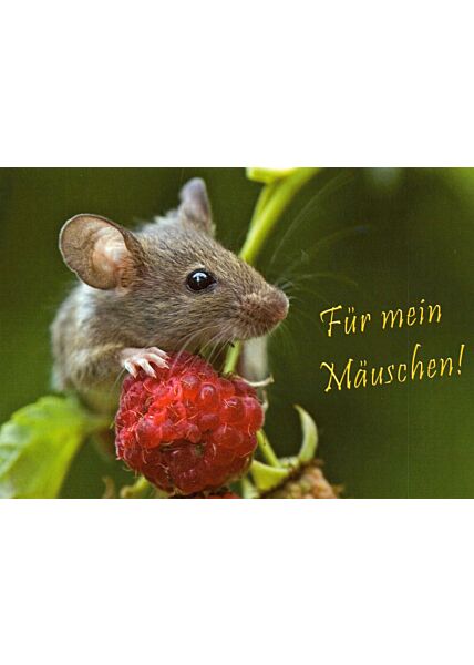 Postkarte Liebe Spruch Für mein Mäuschen