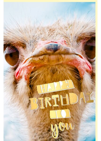 Geburtstagskarte witzig mit Goldfolie Vogelkopf