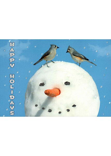 Weihnachtspostkarte zwei Vögel: happy holidays