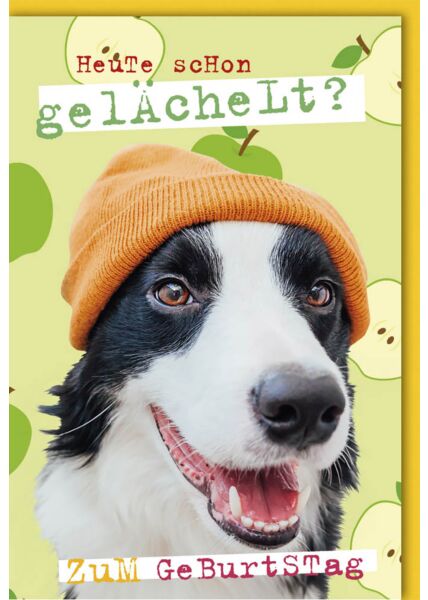 Geburtstagskarte lustig Hund mit orangener Mütze