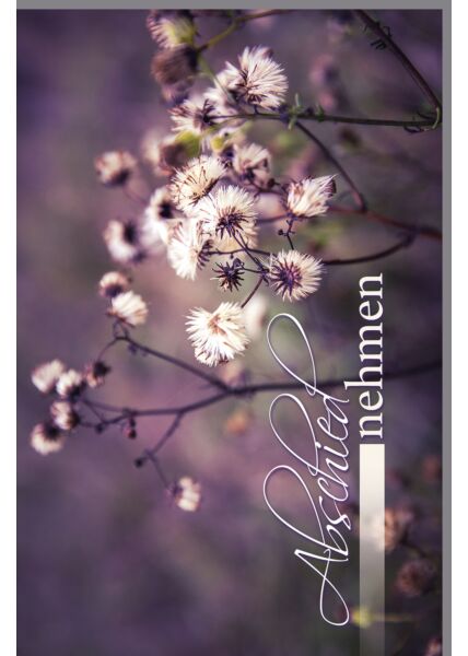 Trauerkarte Beileid Nahaufnahme Blumen