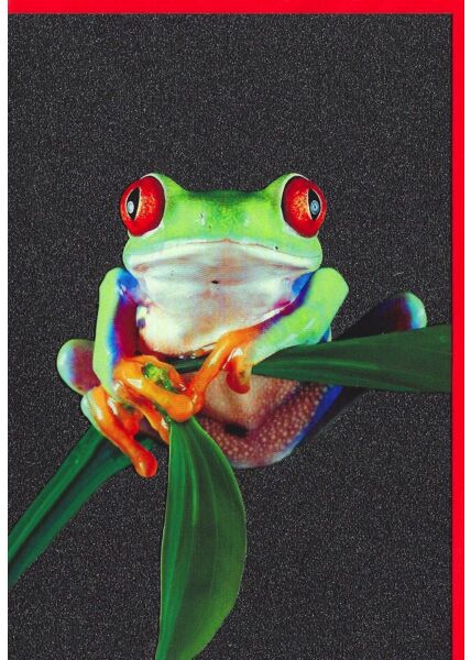 Grußkarte Glimmerlack Frosch lustig