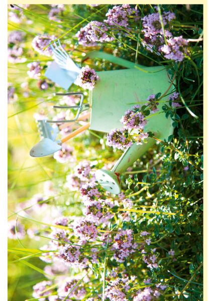 Fotogrußkarte Sommer auf dem Land Gießkanne mit Gartenwerkzeug in Blumenwiese