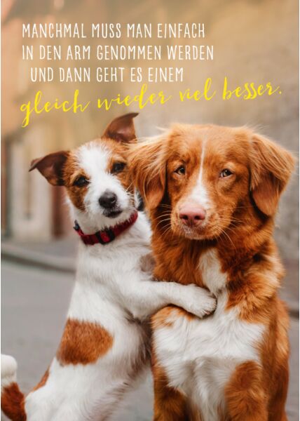 Postkarte Freundschaft Spruch Manchmal muss man einfach in den Arm genommen werden