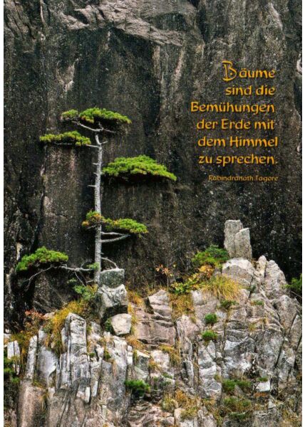Postkarte Sprüche Bäume im Fels
