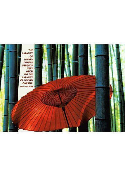 Postkarte spirituell: Bamboo Forrest