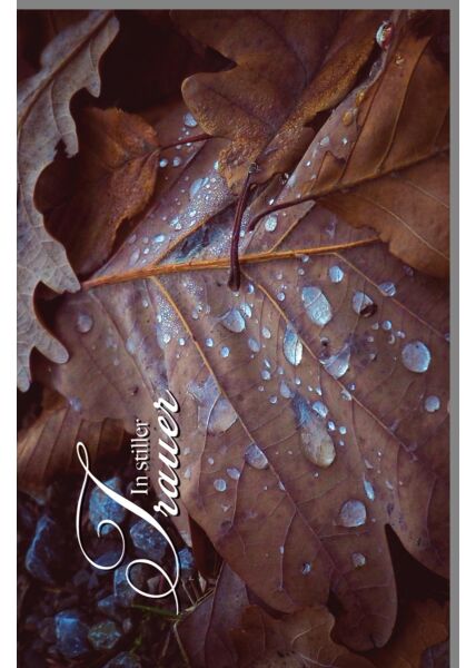 Trauerkarte Beileid Wassertropfen auf Herbstblättern