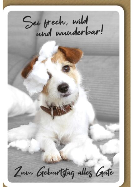 Geburtstagskarte Hund Spruch sei Frech