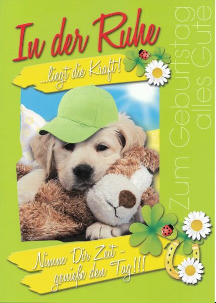 XXL Maxi Geburtstagskarte Hund Mütze