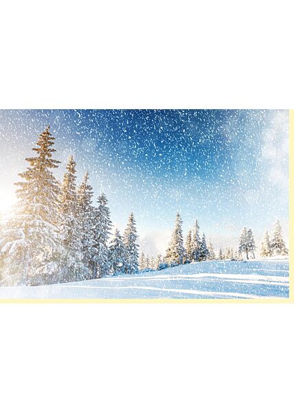 Weihnachtskarte Winterlandschaft Bäume im Schneehimmel