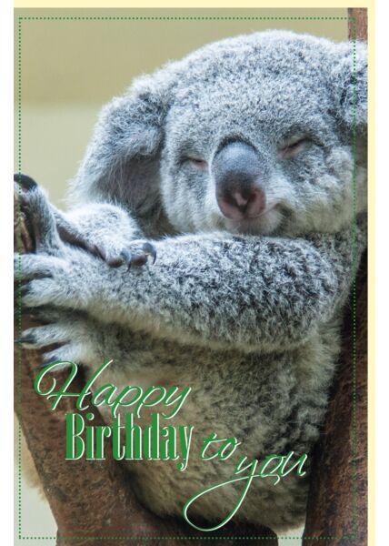 Geburtstagskarte Schlafender Koala Happy Birthday
