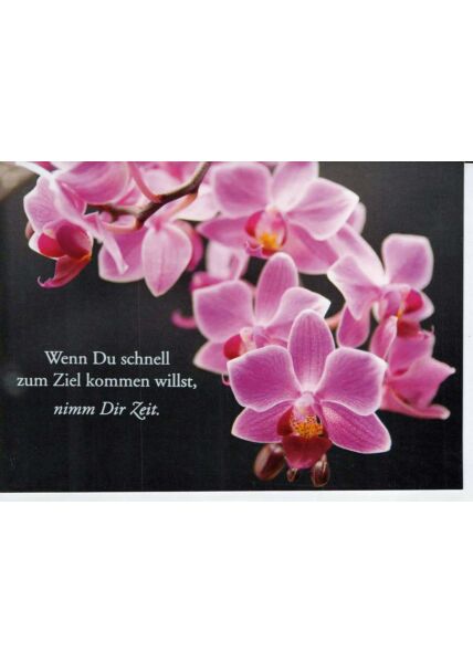 Karte Spruch: schwarz mit pinken Orchideen