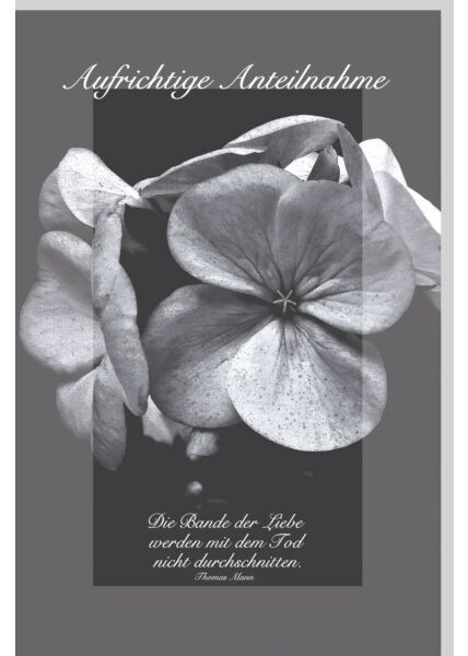 Trauerkarte Kondolenz schwarz weiß Aufrichtige Anteilnahme