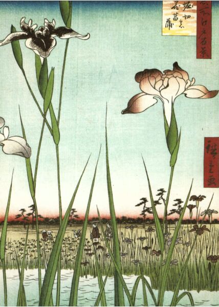 Kunst Postkarte Ando Hiroshige - Horikiri Iris Garden