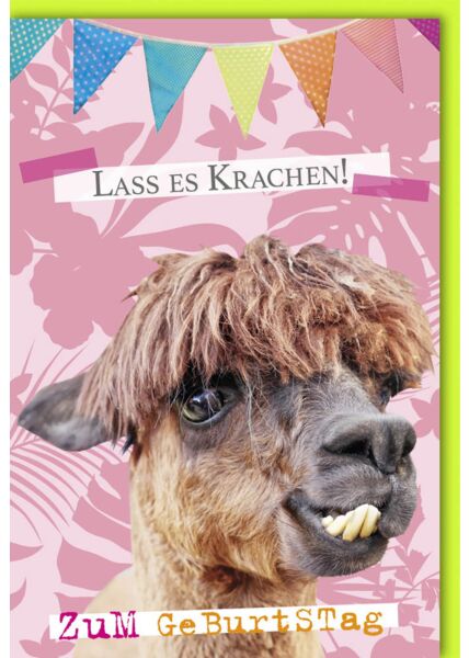 Geburtstagskarte lustig Lama mit Zähnen