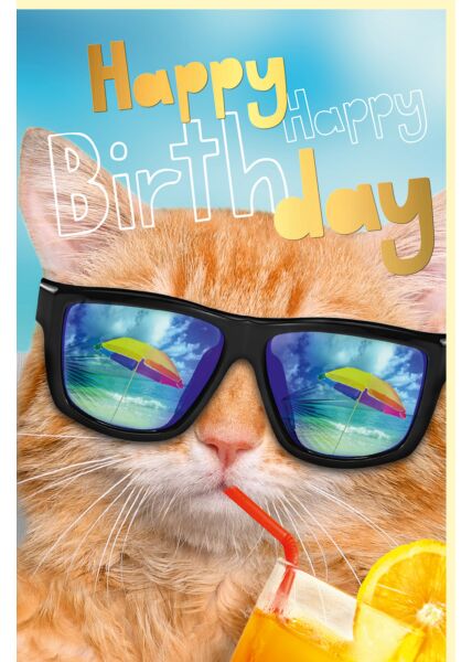Geburtstagskarte Motiv Katze Happy happy Birthday