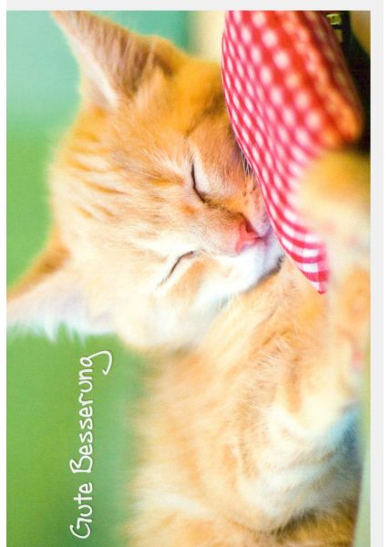 Genesungskarte Katze schläft Spruch Gute Besserung