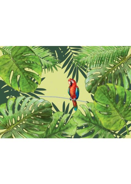 Postkarte Spruch Papagei