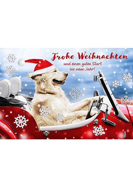 schöne Weihnachtskarte Hund Labrador Frohe Weihnachten und einen guten Start ins neue Jahr