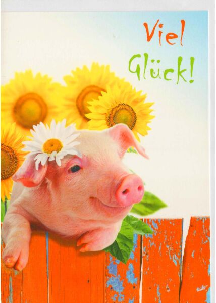 Karte viel Glück Schwein und Sonneblume