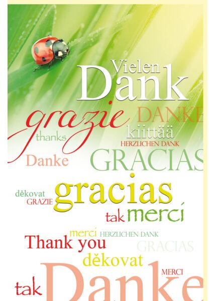 Grußkarte Danksagungskarte Glückskäfer, verschiedene Sprachen Danke