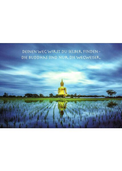 Postkarte spirituell: Buddha in the Fields / TX 426