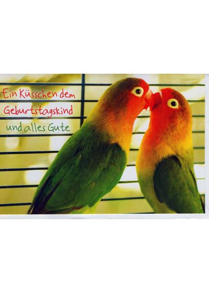 Geburtstagskarte: küssende Papageien