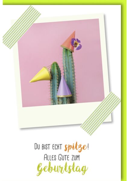 Geburtstagskarte lustig Geburtstag - Polaroid mit Kaktus