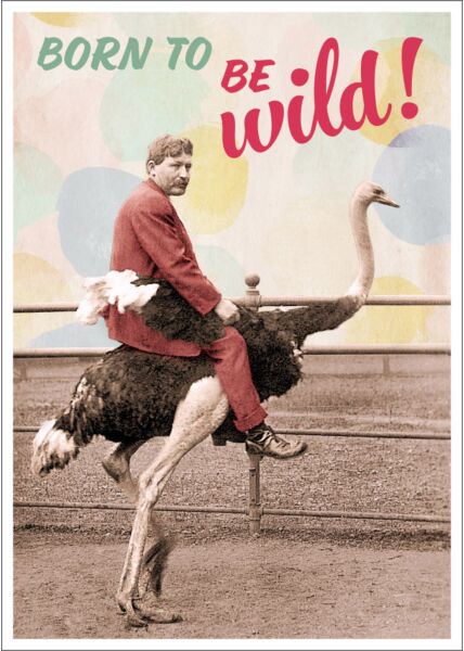 Postkarte Spruch witzig Born to be wild