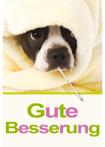 Karte Genesung Hund unter Handtuch krank