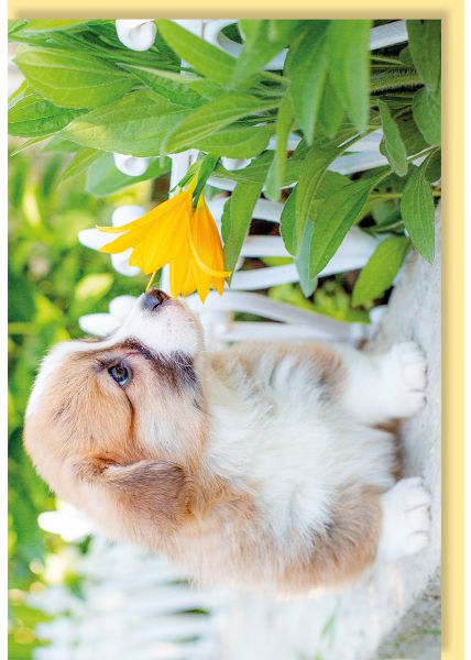 Grußkarte blanko Motiv Hundewelpe, Blume
