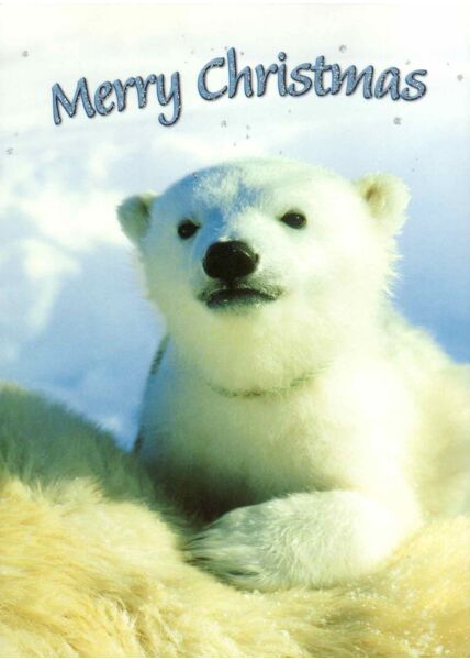 Weihnachtspostkarte Eisbär: merry christmas
