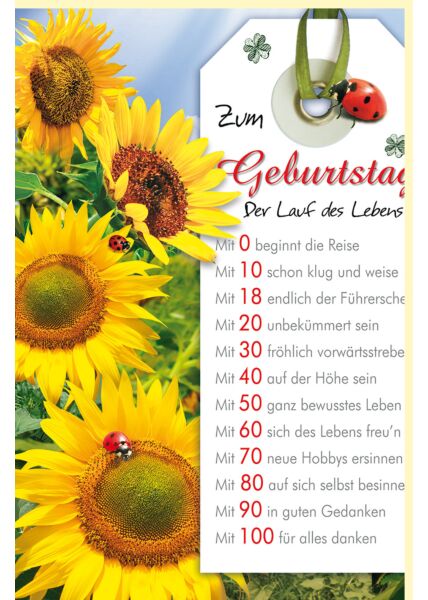 Geburtstagskarte DIN A4 Sonnenblumen und Marienkäfer