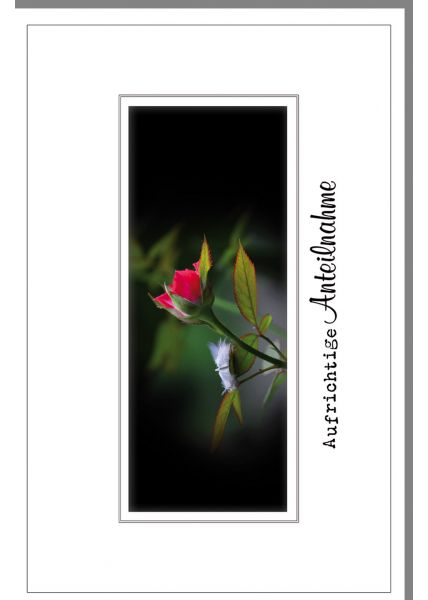 Trauerkarte rote Rose mit Feder auf einem Blatt, aufgeklebtes Stanzteil