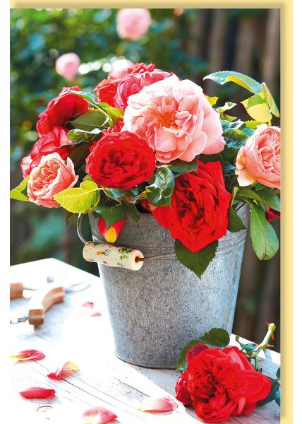 Grußkarte rote und rosa Rosen im Zinkeimer