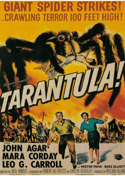 Film Postkarte Tarantula