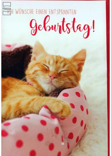 Geburtstagskarte Foto: schlafendes Kätzchen auf rosa Kissen