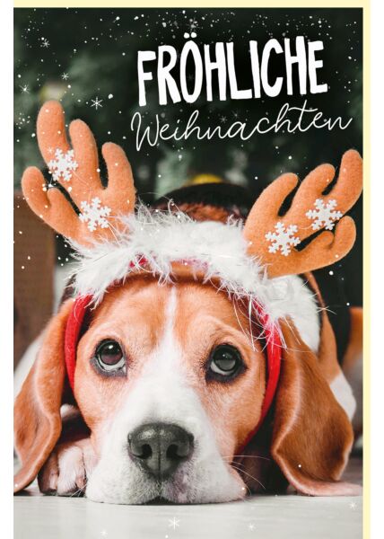 Weihnachtskarte Hund mit Elchohren niedlich