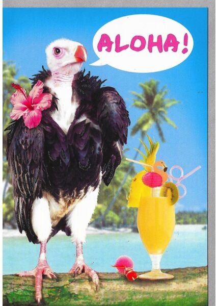 Geburtstagskarte witzig Aloha