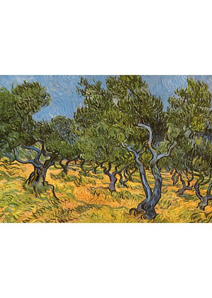 Kunstkarte Vincent van Gogh - Olivenhain