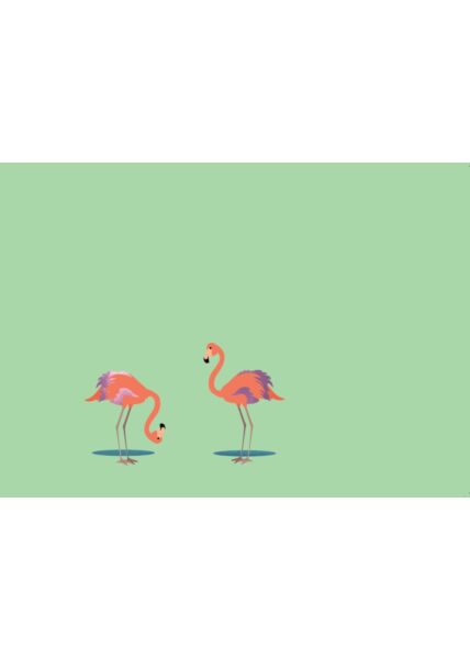 Postkarte blanko 2 Flamingos