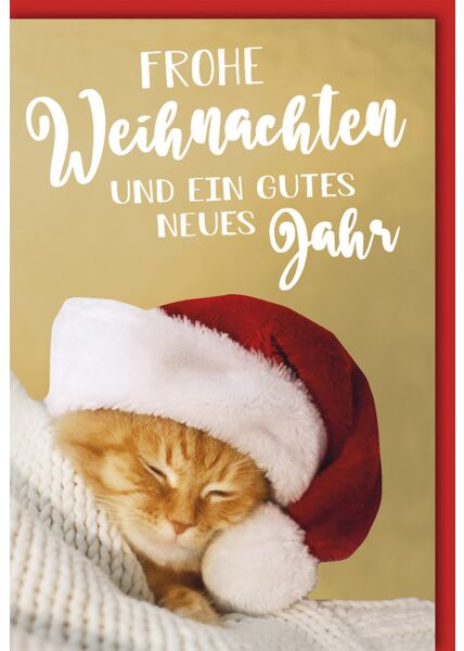 Weihnachtskarte schön Spruch Frohe Weihnachten und ein gutes neues Jahr Katze Weihnachtsmütze