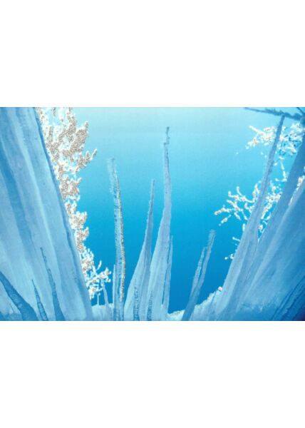 Weihnachtspostkarte blauer Himmel Winter