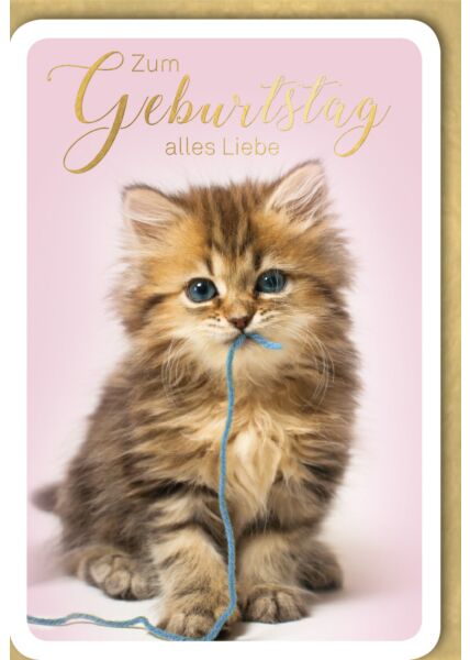 Geburtstagskarte süß Kätzchen mit blauer Schnur