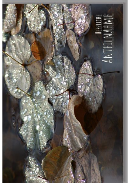 Trauerkarte Blätter mit Wassertropfen im Wasser Spruch Herzliche Anteilnahme