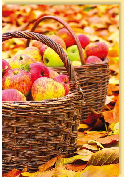 Herbstliche Grüße: Bunte Äpfel in Weidenkörben umgeben von Laub - Perfekt für jeden Anlass
