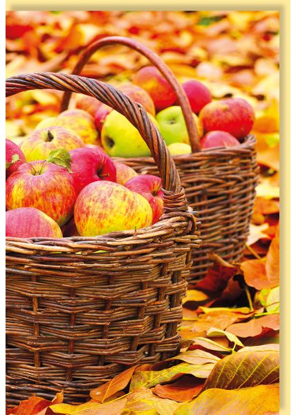 Herbstliche Grüße: Bunte Äpfel in Weidenkörben umgeben von Laub - Perfekt für jeden Anlass